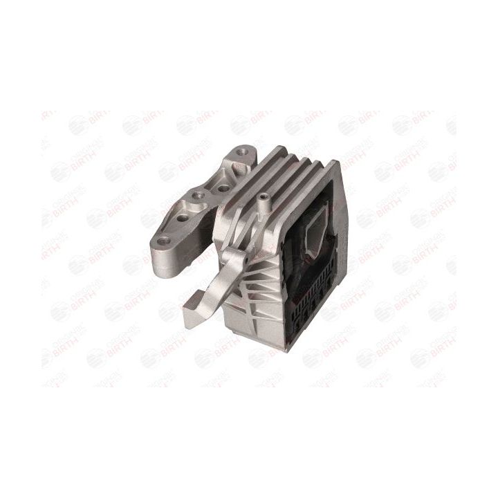 Variklio montavimas BIRTH 57023