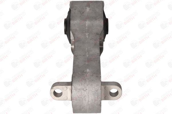 Variklio montavimas BIRTH 57027