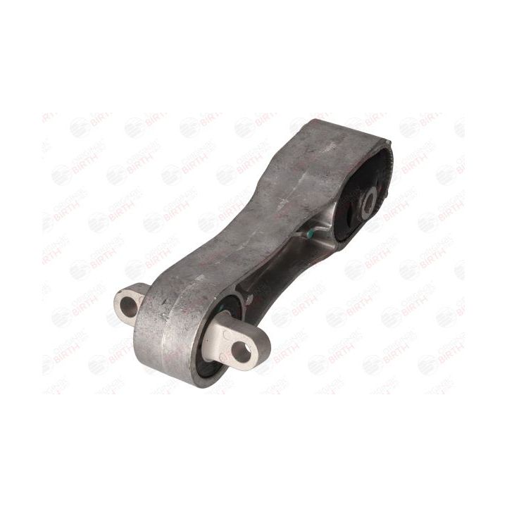 Variklio montavimas BIRTH 57027