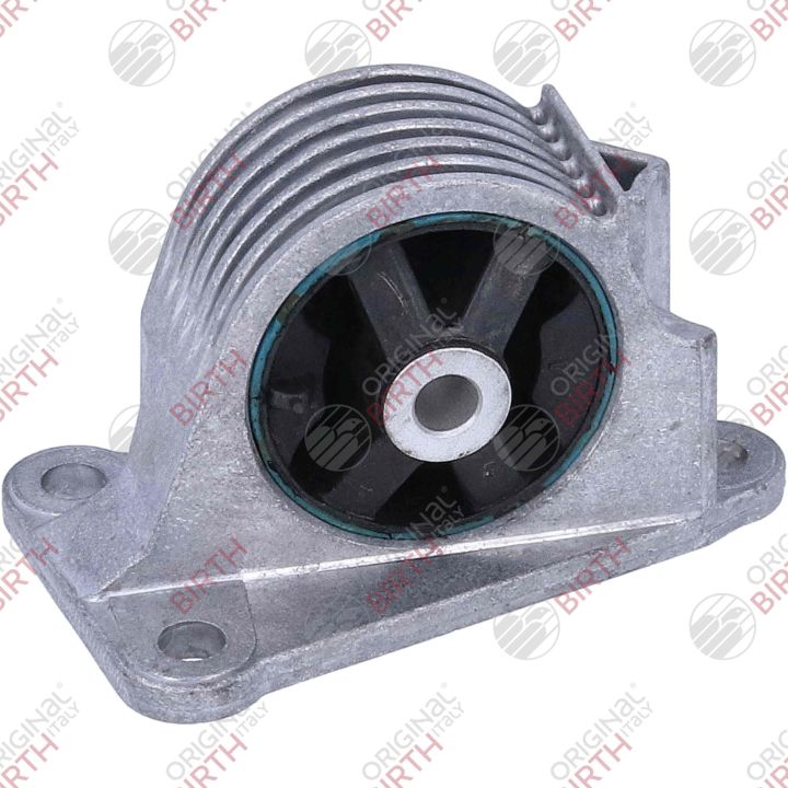 Variklio montavimas BIRTH 57042