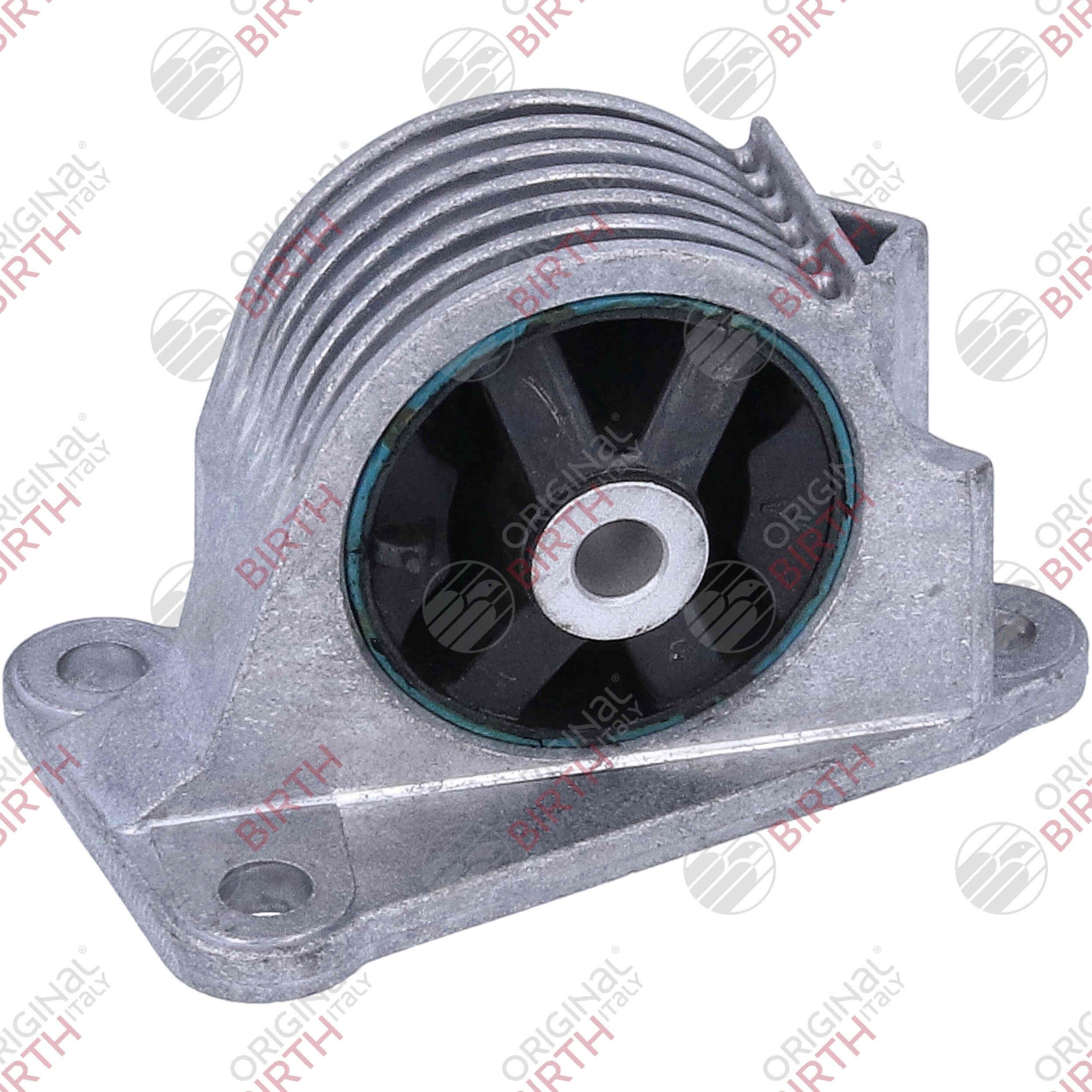 Variklio montavimas BIRTH 57042