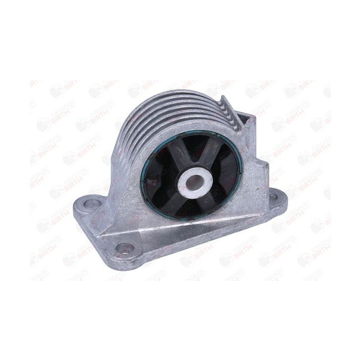 Variklio montavimas BIRTH 57042