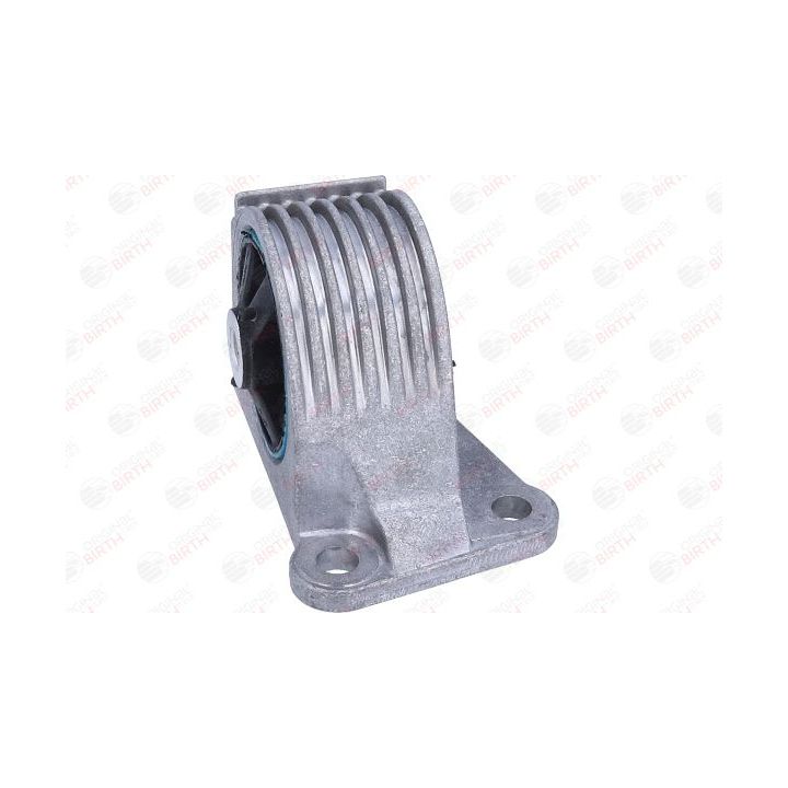 Variklio montavimas BIRTH 57042