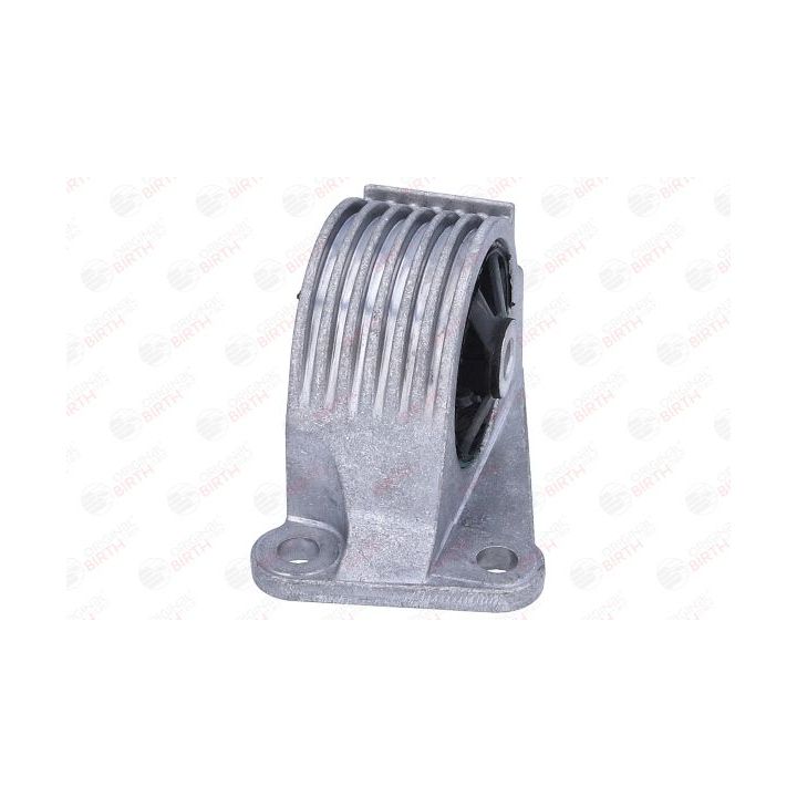 Variklio montavimas BIRTH 57042