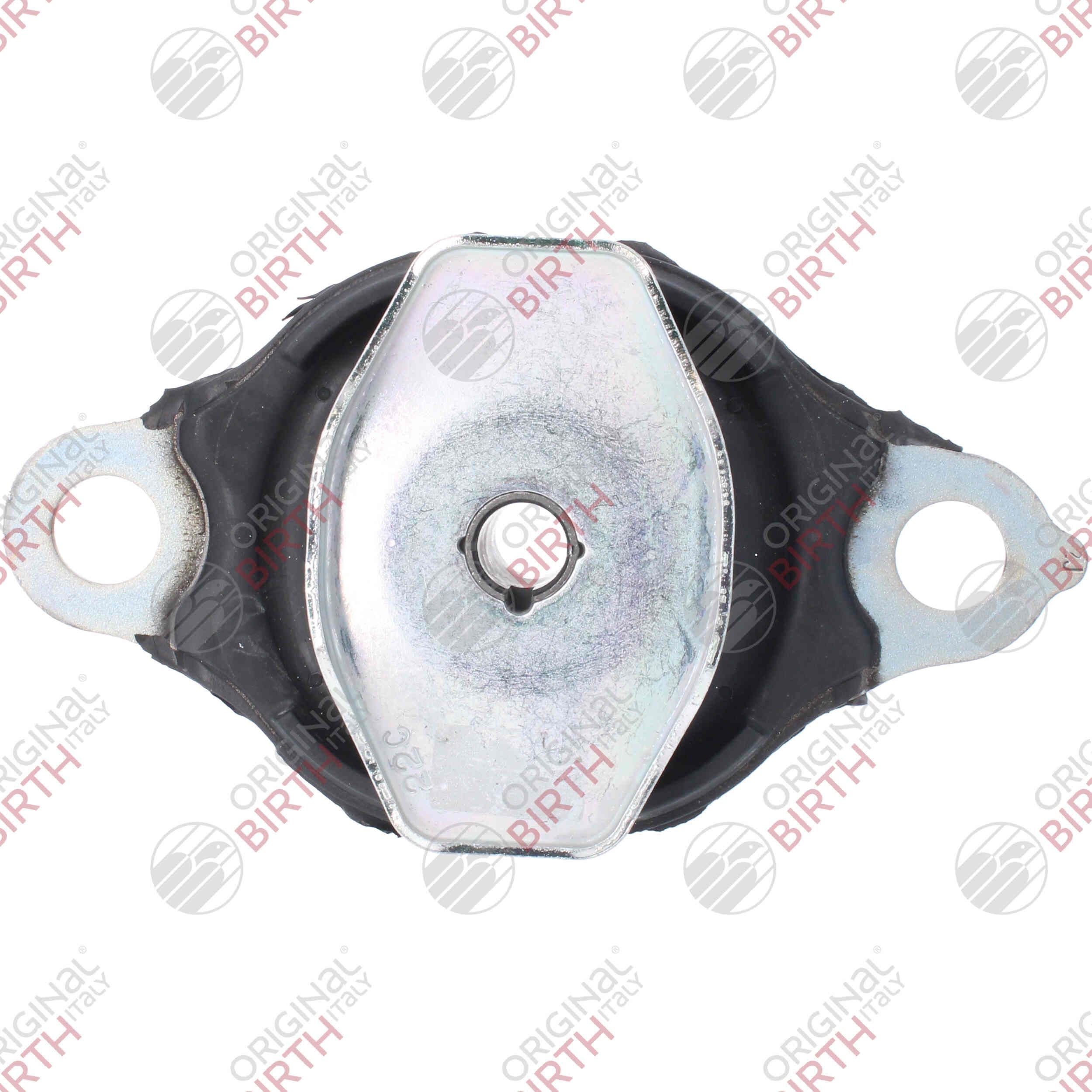 Variklio montavimas BIRTH 57043