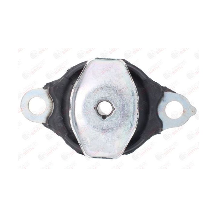 Variklio montavimas BIRTH 57043