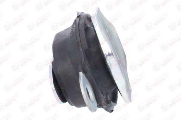 Variklio montavimas BIRTH 57043