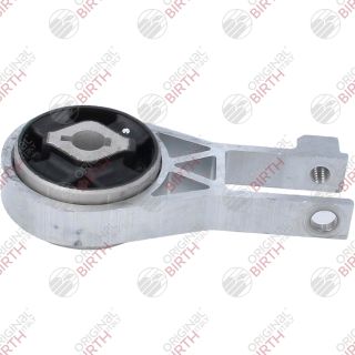 Variklio montavimas BIRTH 57044