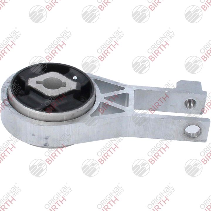 Variklio montavimas BIRTH 57044