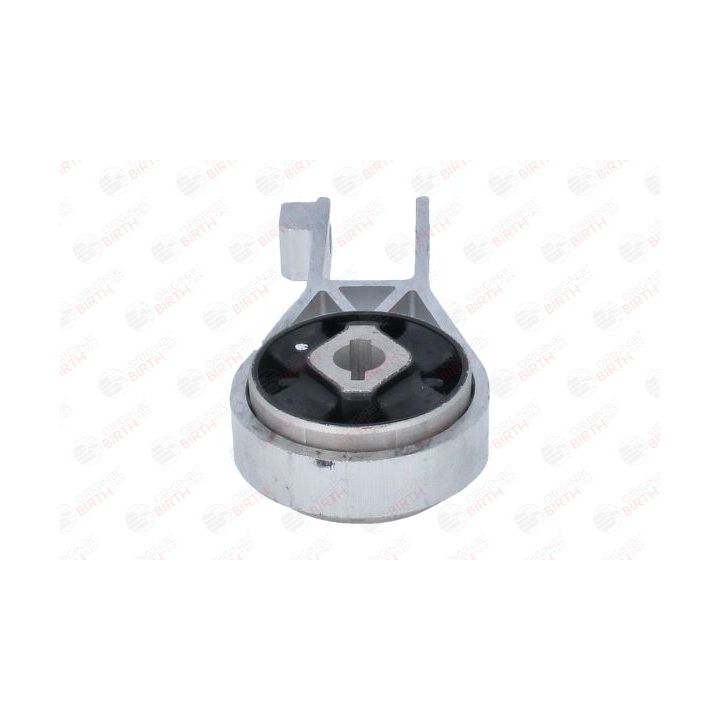 Variklio montavimas BIRTH 57044