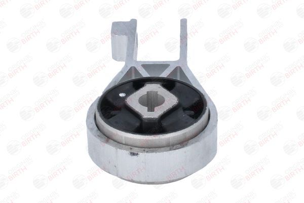 Variklio montavimas BIRTH 57044