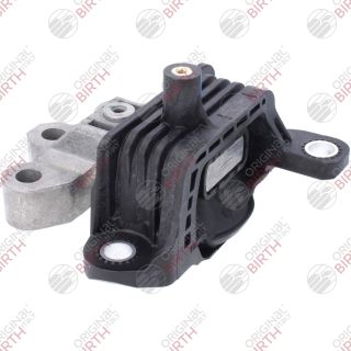 Variklio montavimas BIRTH 57045