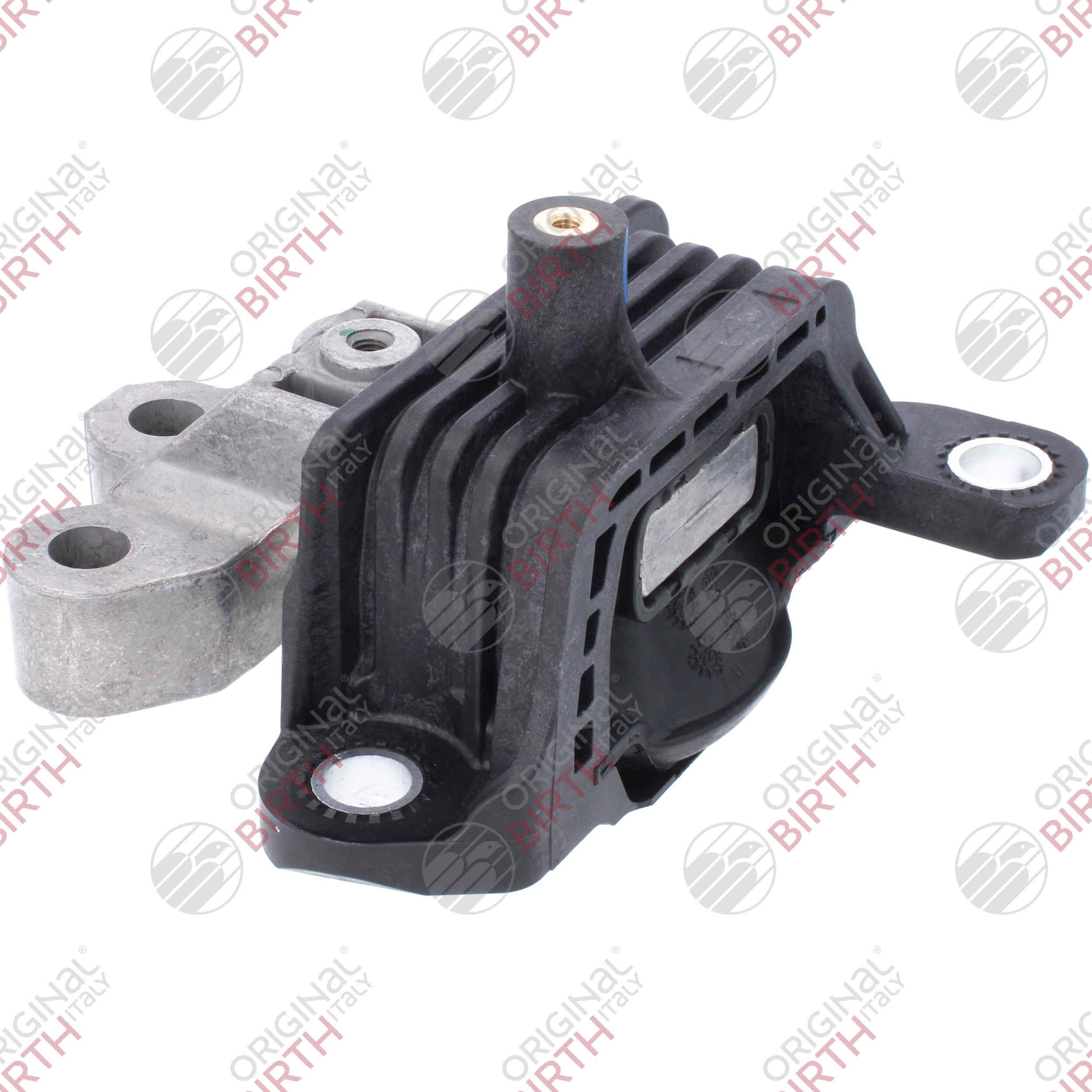 Variklio montavimas BIRTH 57045