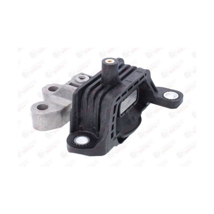 Variklio montavimas BIRTH 57045