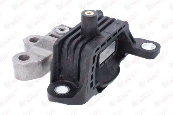 Variklio montavimas BIRTH 57045