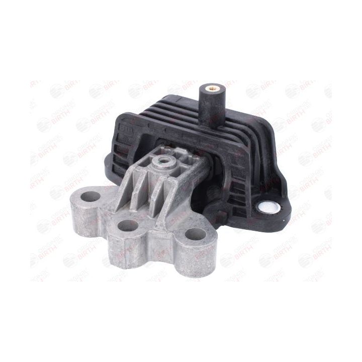 Variklio montavimas BIRTH 57045