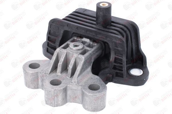 Variklio montavimas BIRTH 57045