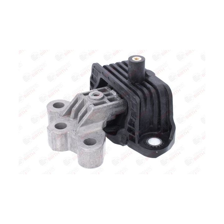 Variklio montavimas BIRTH 57045