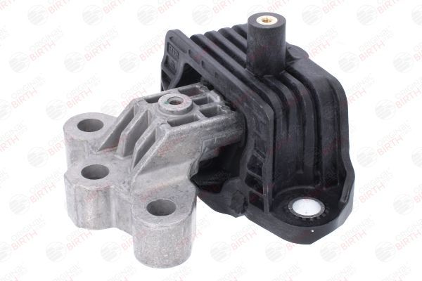 Variklio montavimas BIRTH 57045