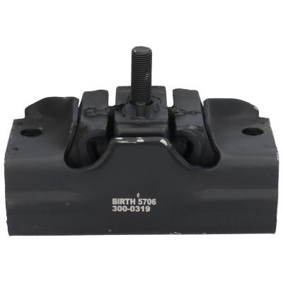 Variklio montavimas BIRTH 5706