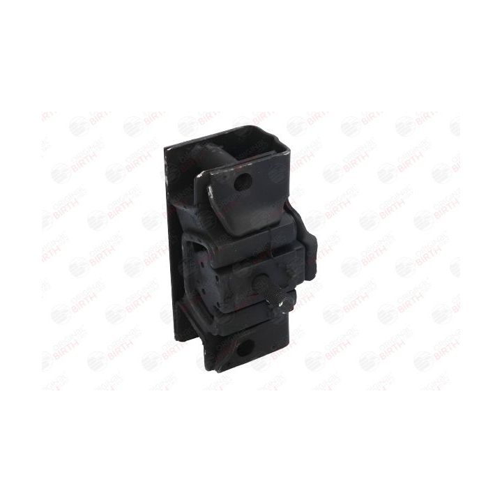 Variklio montavimas BIRTH 5706