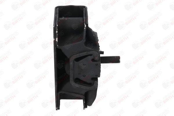 Variklio montavimas BIRTH 5706