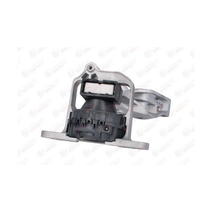 Variklio montavimas BIRTH 57068