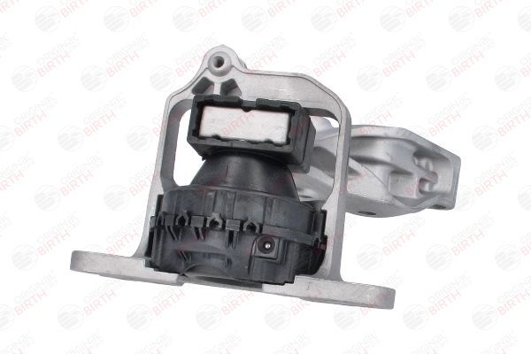 Variklio montavimas BIRTH 57068