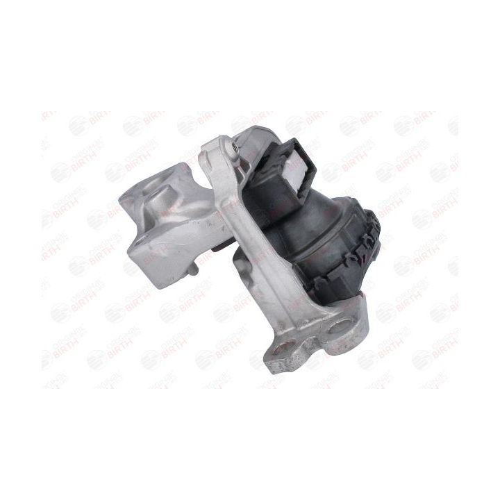 Variklio montavimas BIRTH 57068