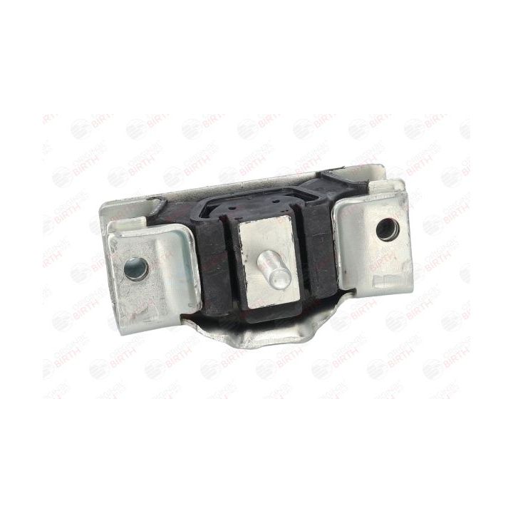 Variklio montavimas BIRTH 5707