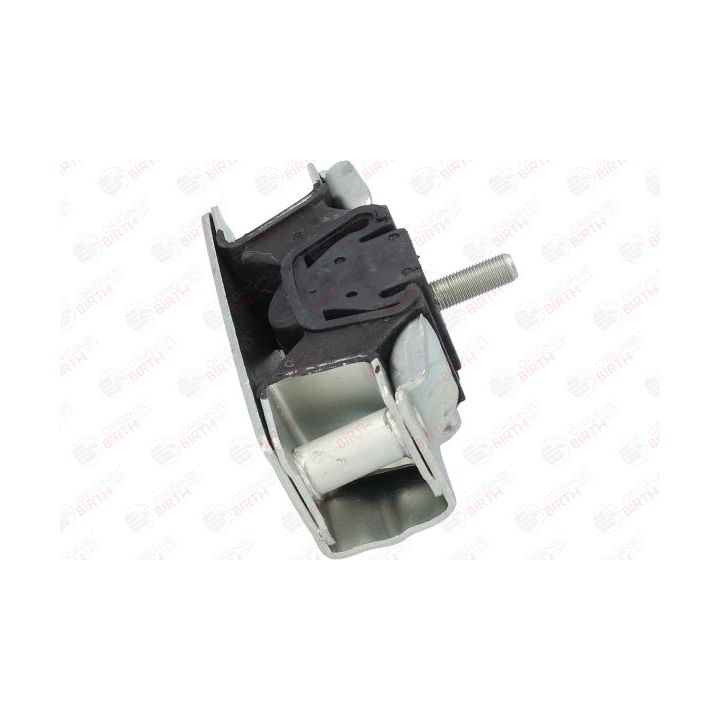 Variklio montavimas BIRTH 5707