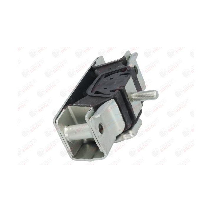 Variklio montavimas BIRTH 5707