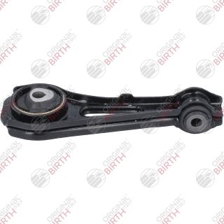 Variklio montavimas BIRTH 57070