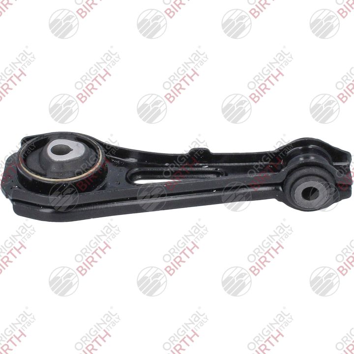 Variklio montavimas BIRTH 57070