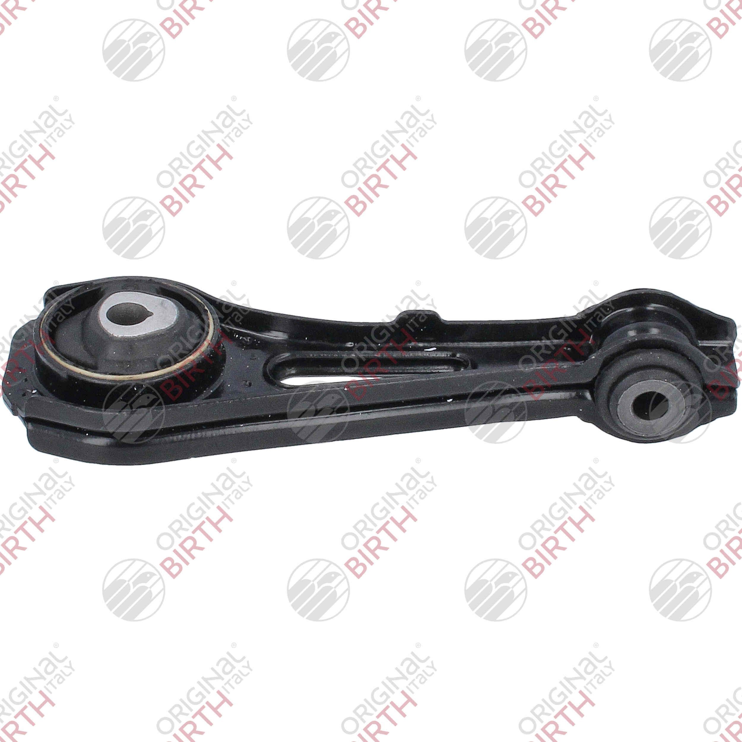 Variklio montavimas BIRTH 57070