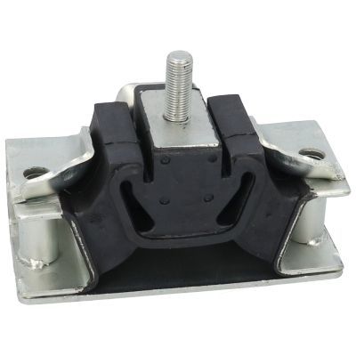 Variklio montavimas BIRTH 5708