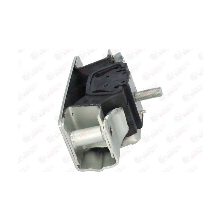 Variklio montavimas BIRTH 5708