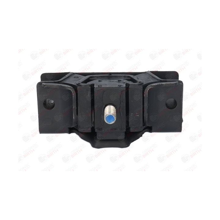 Variklio montavimas BIRTH 5709