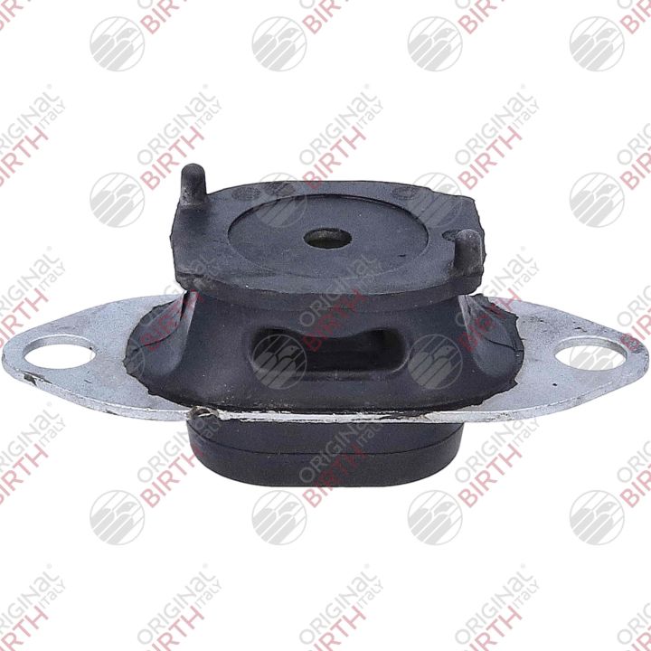 Variklio montavimas BIRTH 57091