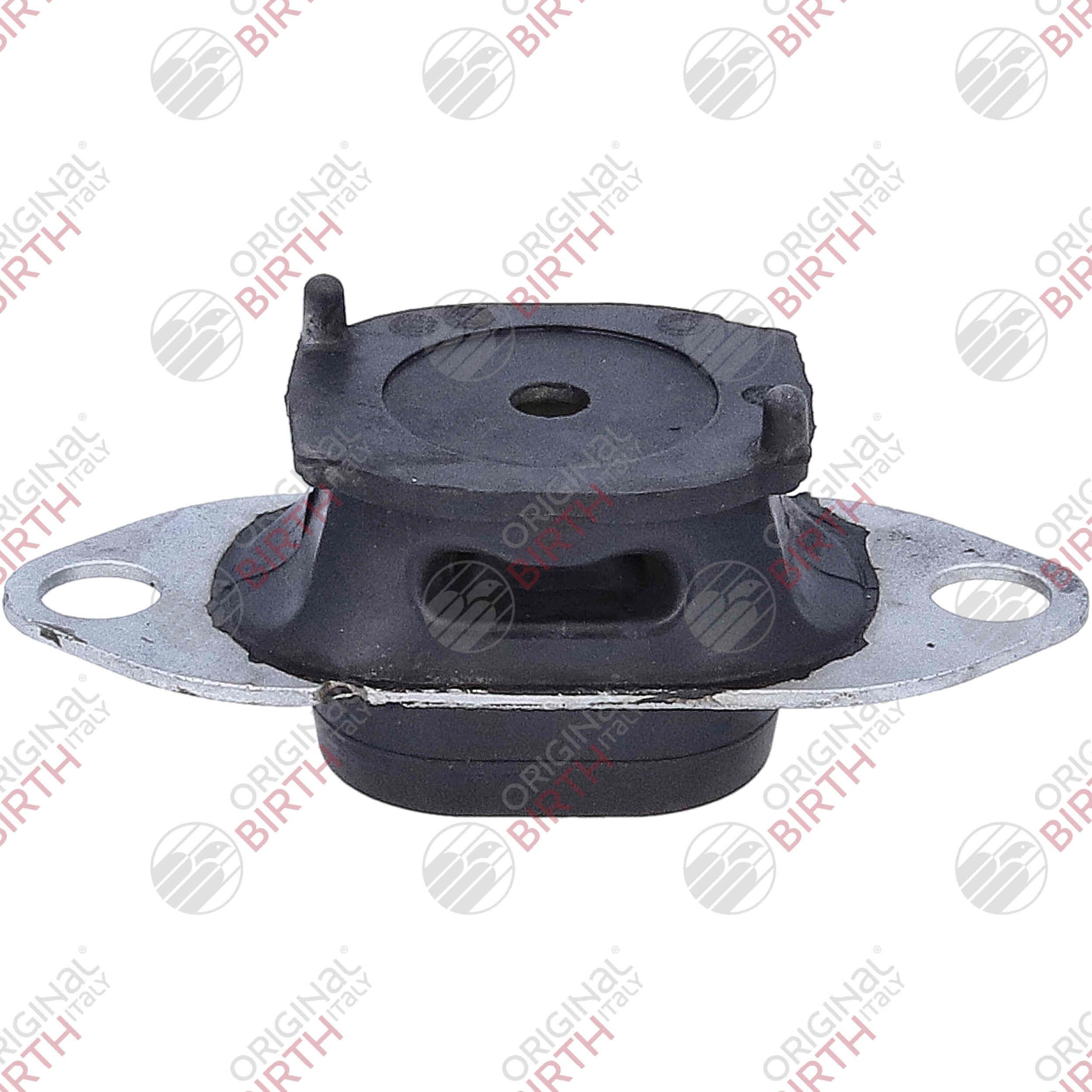 Variklio montavimas BIRTH 57091