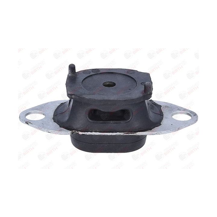 Variklio montavimas BIRTH 57091