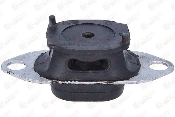 Variklio montavimas BIRTH 57091