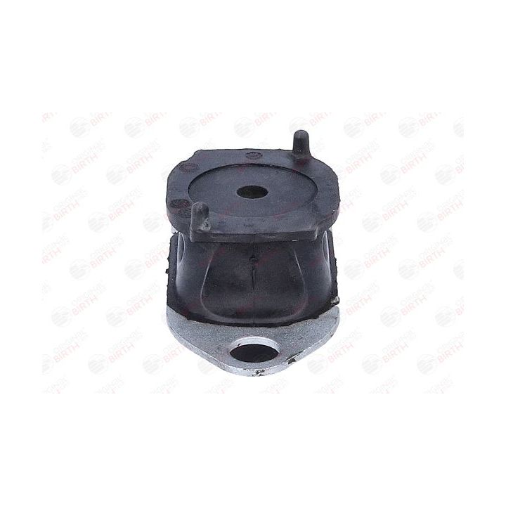 Variklio montavimas BIRTH 57091