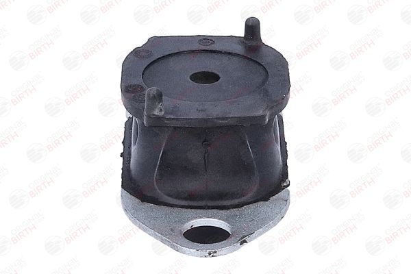 Variklio montavimas BIRTH 57091