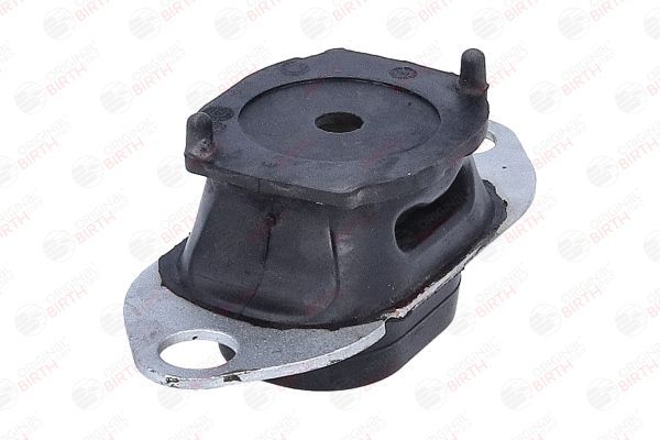 Variklio montavimas BIRTH 57091