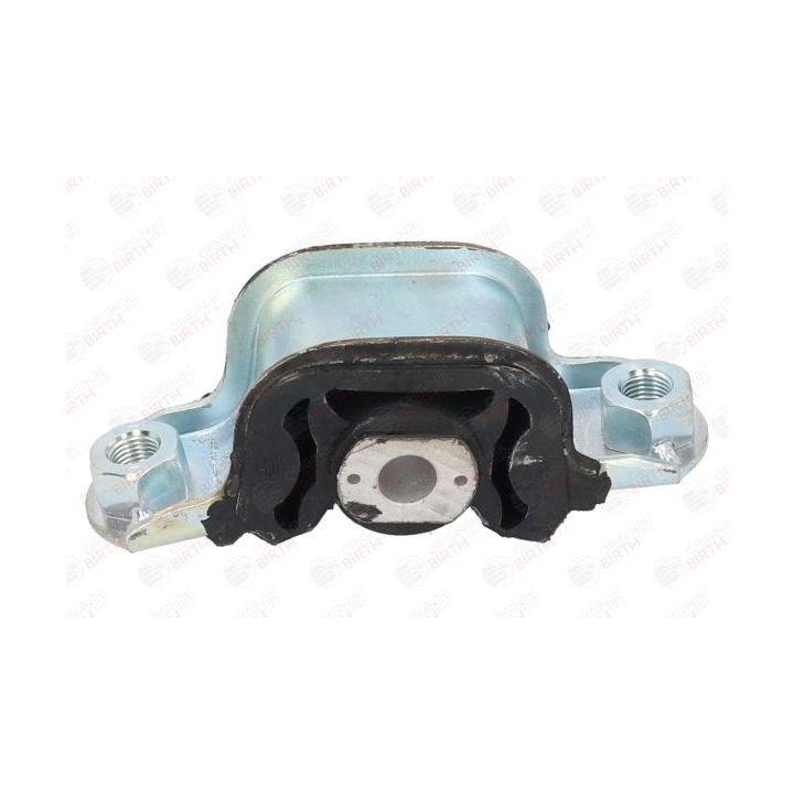 Variklio montavimas BIRTH 5710