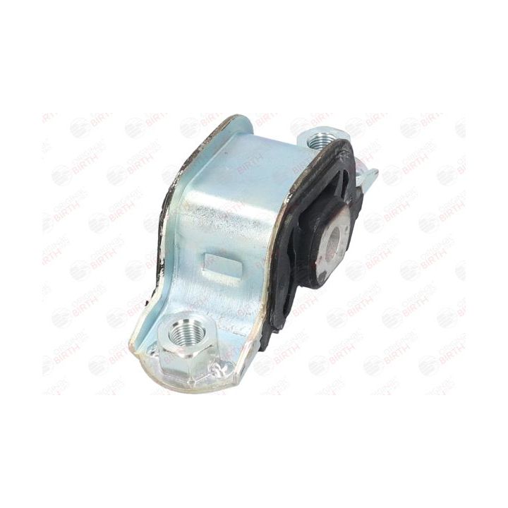 Variklio montavimas BIRTH 5710