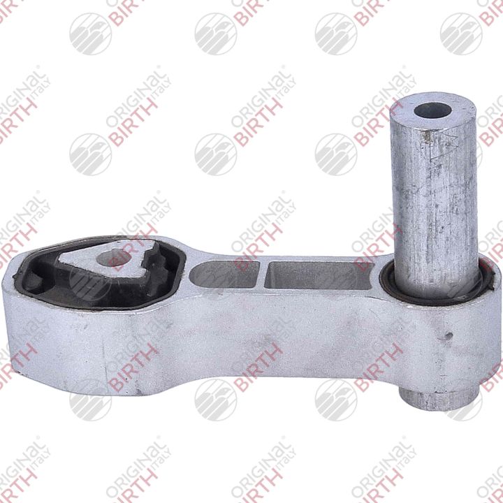 Variklio montavimas BIRTH 57106