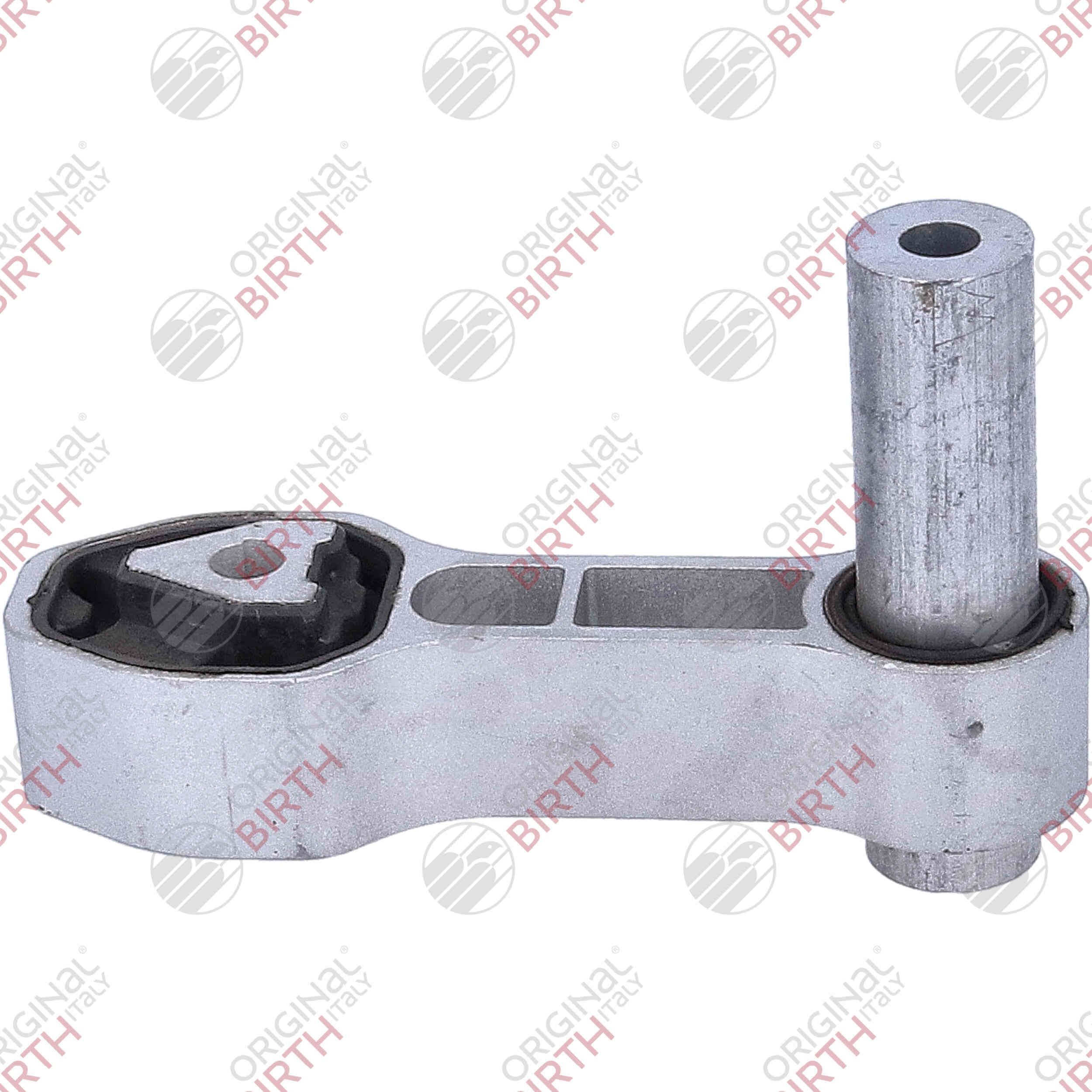 Variklio montavimas BIRTH 57106