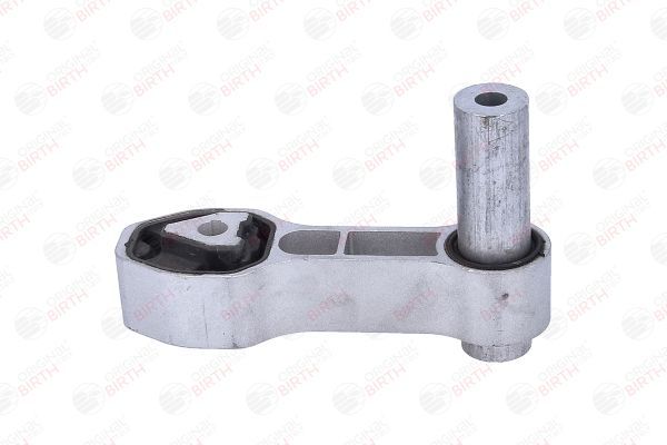 Variklio montavimas BIRTH 57106